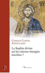 La Sophie divine ou les raisons-énergies incréées